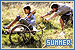 season: summer