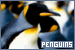 penguins