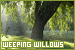 trees: weeping willows