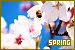 season: spring
